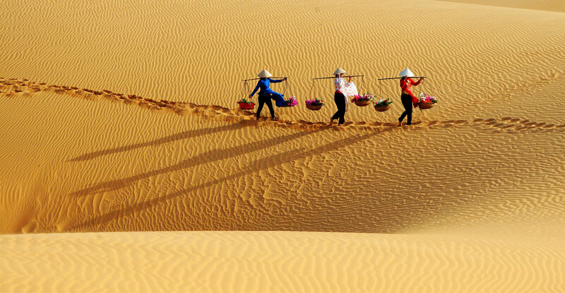 Đồi cát Mũi Né là nơi cho bạn trải nghiệm như ở sa mạc Sahara